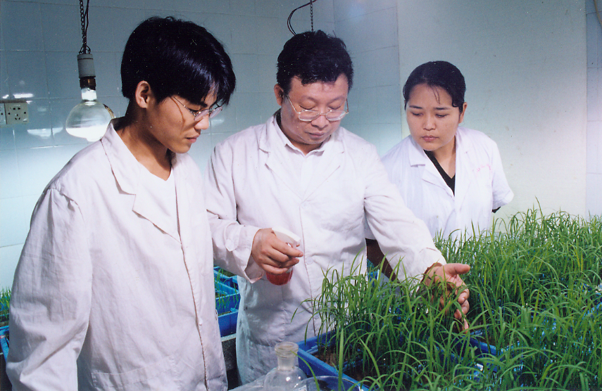 华农植物病理学二级教授，视力退...